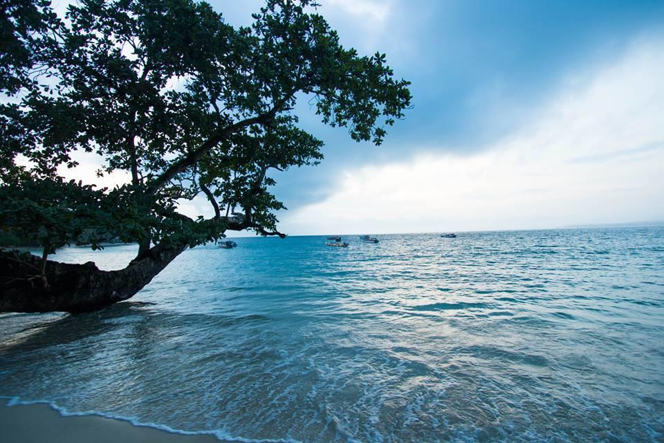 Mentawai Ebay Playground Surfcamp Villa Masokut Exteriör bild