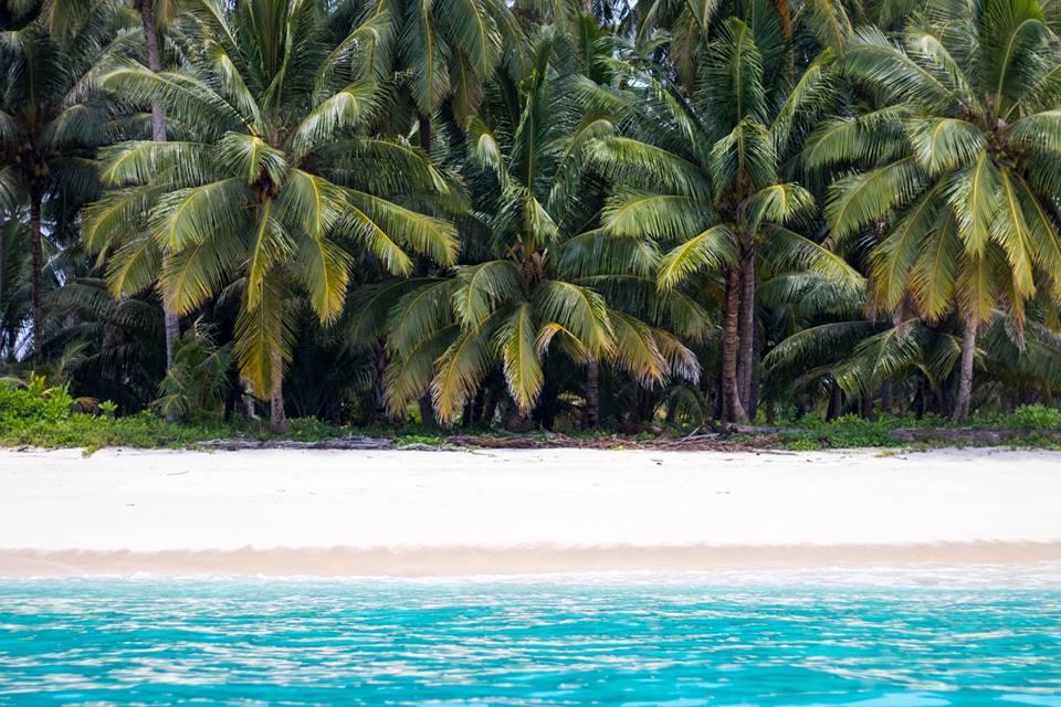 Mentawai Ebay Playground Surfcamp Villa Masokut Exteriör bild